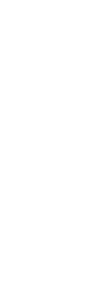 nanoshine autómosás