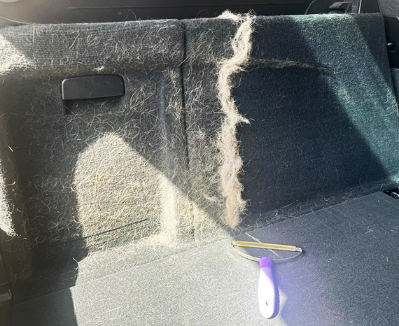 Nanoshine állatszőr eltávolítás